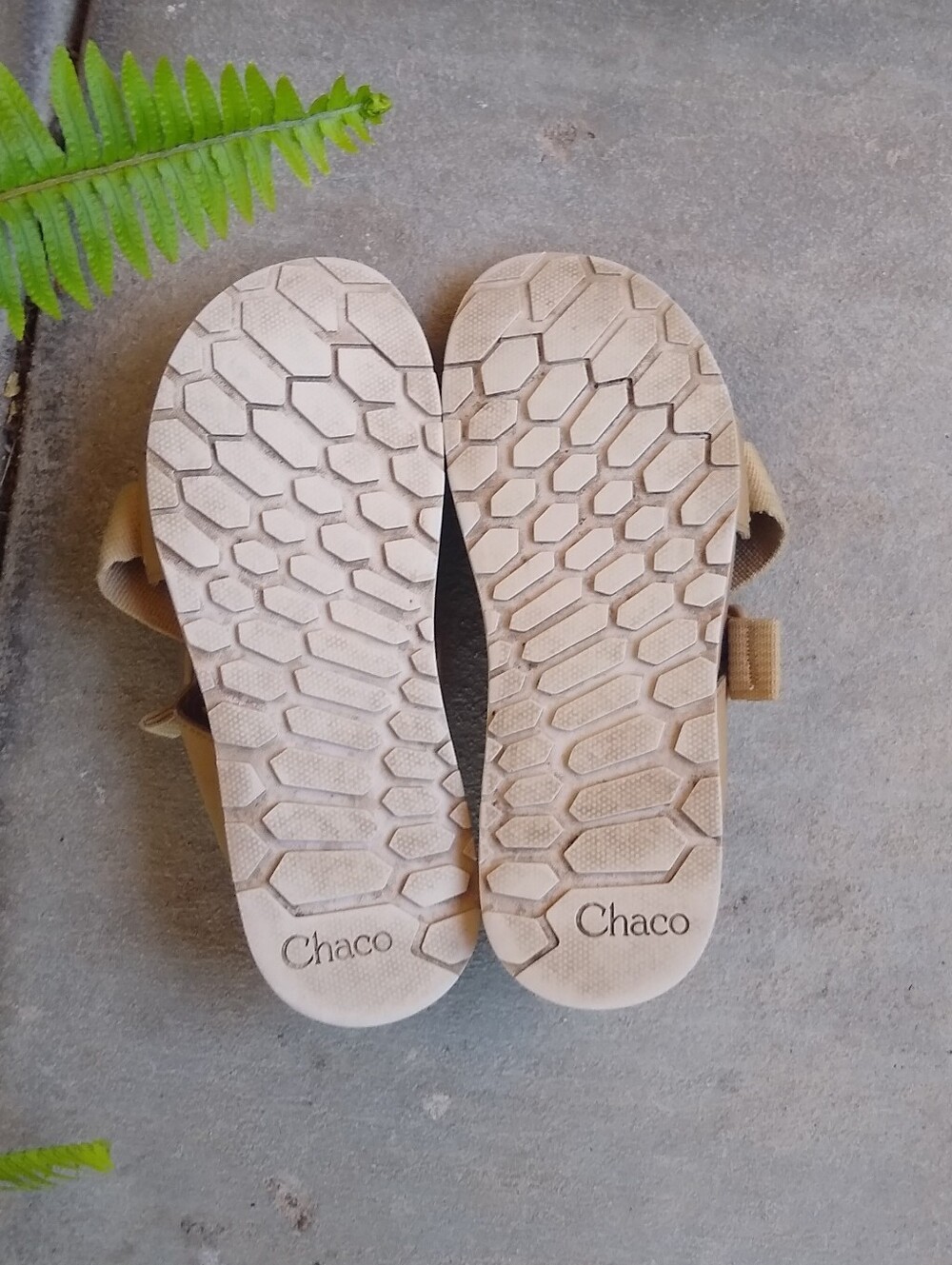 Rare! Chaco Lowdown Slides Curry 6 Gently Worn! - Picture 11 of 16